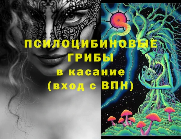 прущая мука Абаза