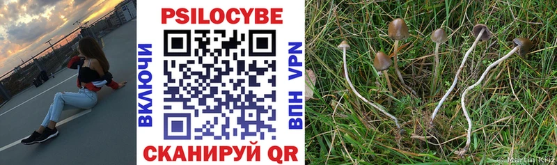 Псилоцибиновые грибы Psilocybine cubensis  цена наркотик  Инза 